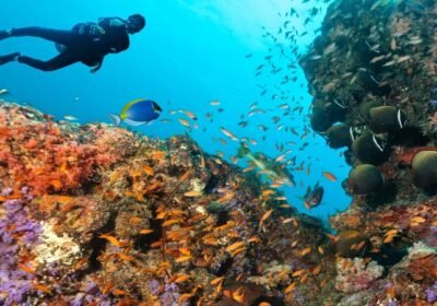 The Most Authentic Maldives: Between Nature And Sustainability