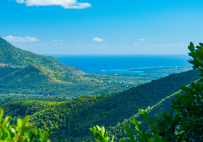Mauritius: Black River Gorges National Park